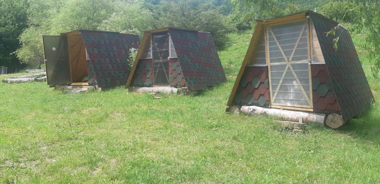 Pensiunea Izvorul Bucuriei シリウ エクステリア 写真