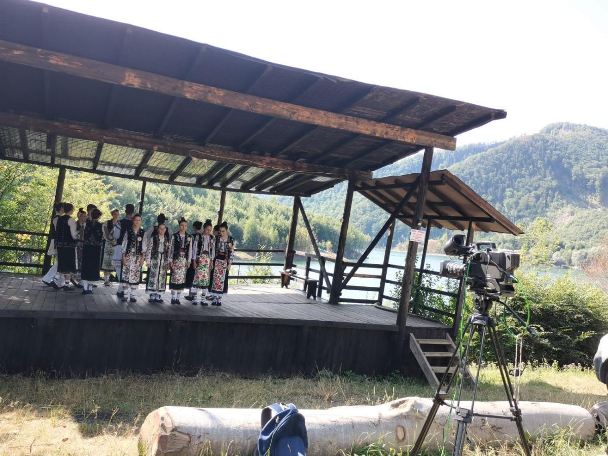 Pensiunea Izvorul Bucuriei シリウ エクステリア 写真